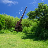 美しい青空と緑の中に立つ錆びつき壊れた高角砲の写真