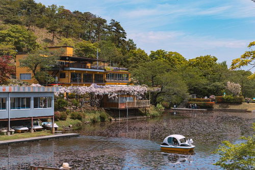 蛇の鼻の穏やかな池に浮かぶ白と黄色の電動ボート