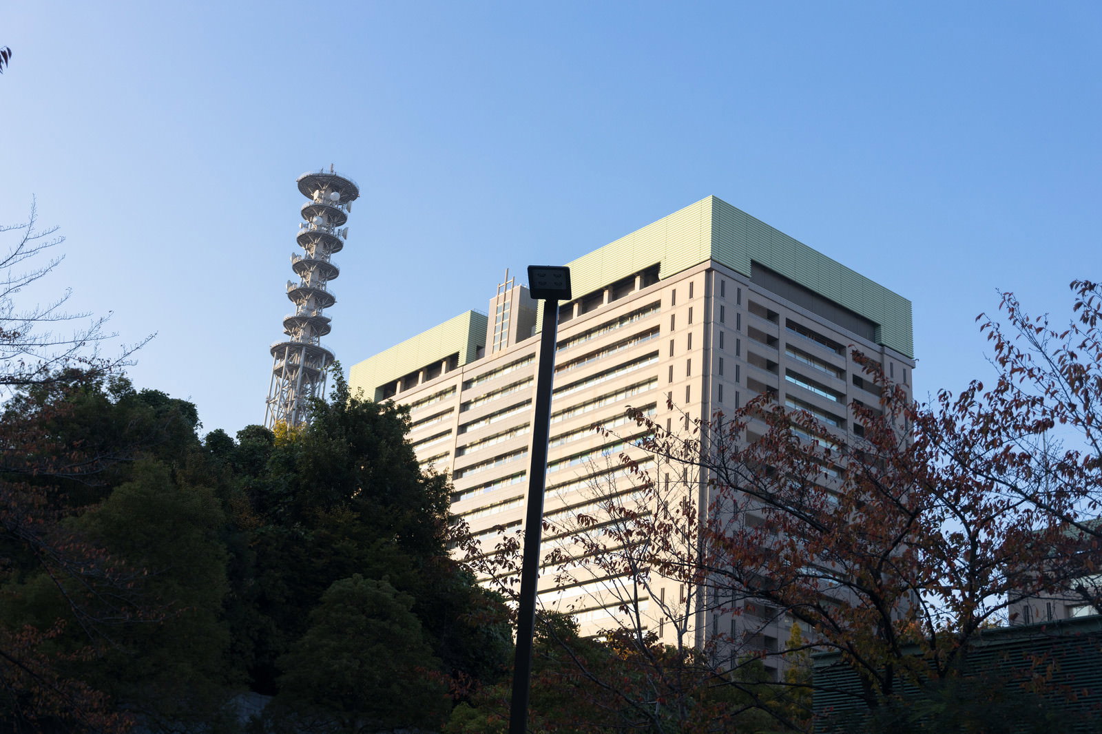 青空を背景にした防衛省の庁舎と通信用鉄塔