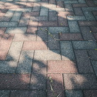 影が伸びるレンガ敷きの地面に落ちる木漏れ日の写真