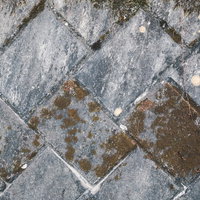 苔が付着した擁壁の石材テクスチャーの写真