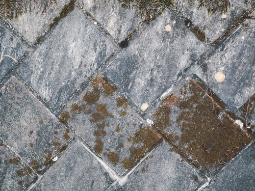 苔が付着した擁壁の石材テクスチャー