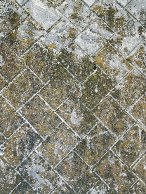 緑の苔むす土留めコンクリート擁壁のテクスチャー