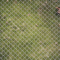 苔生した擁壁と金網が重なるテクスチャーの写真