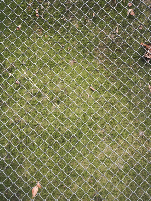 苔生した擁壁と金網が重なるテクスチャー