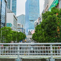 東京渋谷の明治通りにある歩道橋から見たビル群の写真