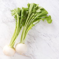 新鮮な葉付きかぶ - 旬の根菜野菜の生鮮食材の写真
