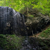 新緑に囲まれ苔むした岩壁から流れ落ちる岩井滝の写真