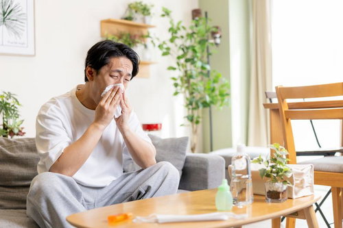 ティッシュで鼻をかむ男性 花粉症・アレルギー性鼻炎