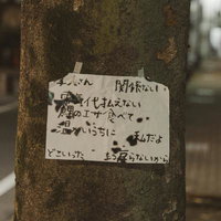 路上に忍び寄る謎の警告の写真