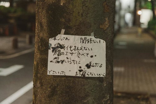 路上に忍び寄る謎の警告