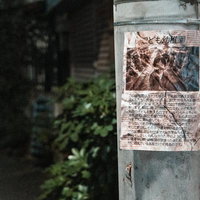 電柱に貼られた色褪せた「こども幼稚園」の告知文の写真