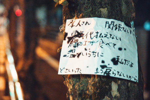 街路樹に貼られた怪文書