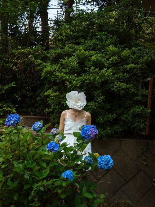紫陽花と花人（白ワンピースと青い花の庭）