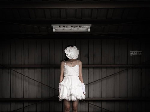 色白を保つため光合成は諦めた