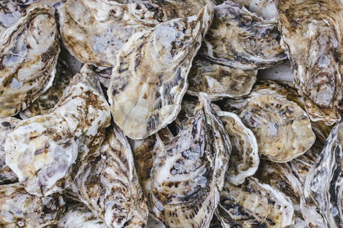 殻付き牡蠣を積み重ねた山盛り、新鮮な生牡蠣の