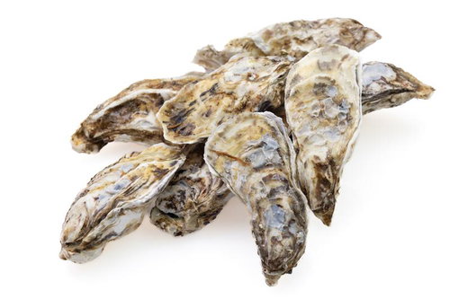 殻付き牡蠣を山盛りに積み重ねた生食用の鮮魚