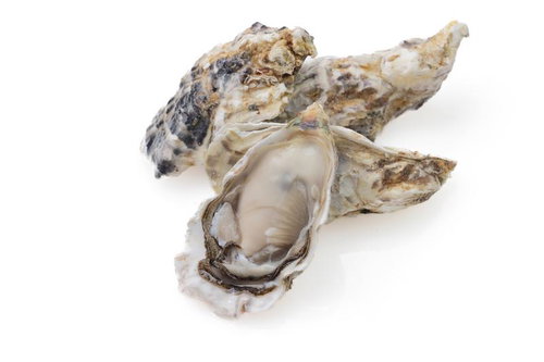 殻付き生牡蠣のクローズアップの写真