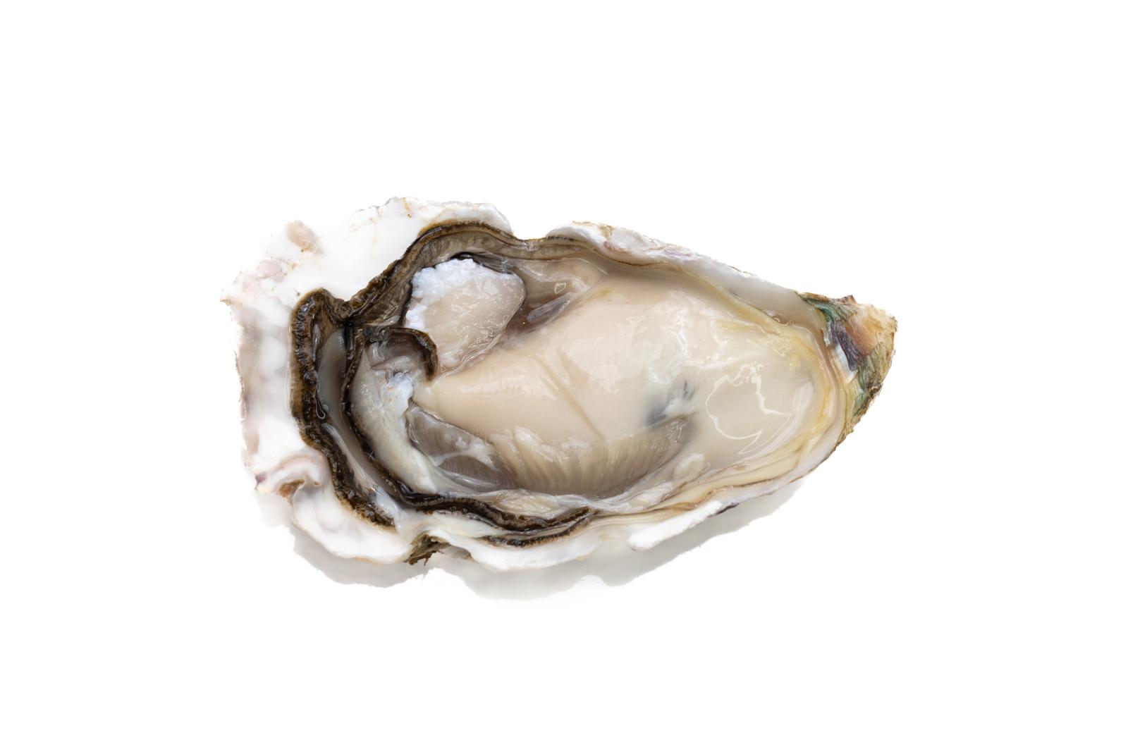 殻から取り出した生の牡蠣の身が白く輝いている