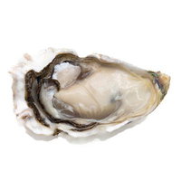 殻付き生牡蠣とその中の宝石のような身の美しい断面の写真