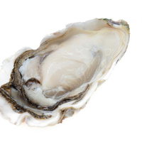 新鮮な生牡蠣の鮮やかさとその切り抜きの写真