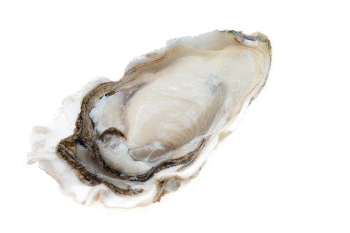 新鮮な生牡蠣の鮮やかさとその切り抜き