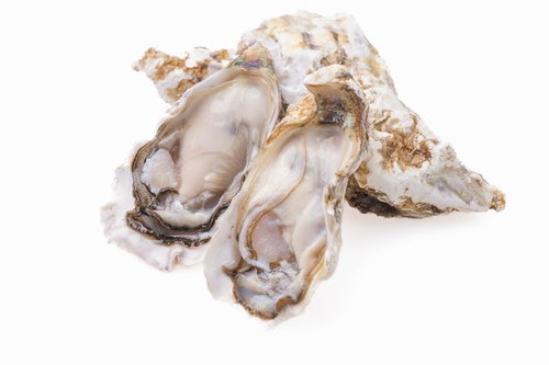 殻付き牡蠣を開いた瞬間の新鮮な生ガキ