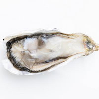 殻から取り出した新鮮な生牡蠣のクローズアップの写真