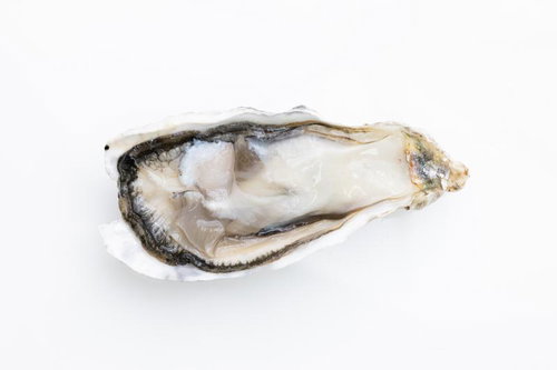 殻から取り出した新鮮な生牡蠣のクローズアップ