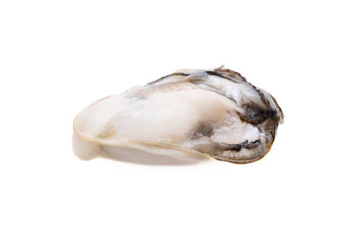 白い身が光る生牡蠣の殻付き