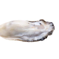 新鮮な生牡蠣の身の切り抜きの写真