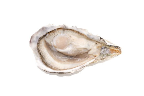 白い殻の小ぶりな殻付き生牡蠣、半開きで身が見えるの写真