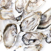 殻付き生牡蠣の盛り合わせの写真