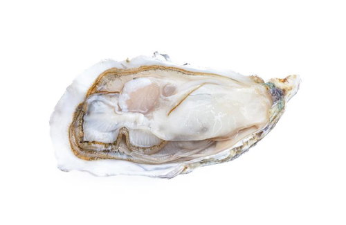 殻付きの生牡蠣の写真