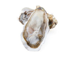 殻付きの生牡蠣と切り抜きの美学 白背景の海産物の写真