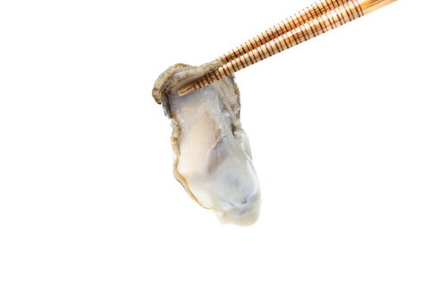 箸で摘まみ上げた生ガキの身、貝殻の縁まで見える新鮮な牡蠣