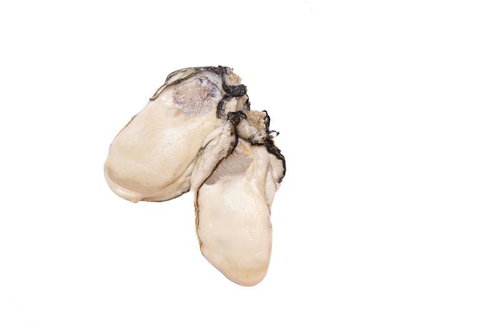 剥き身の生牡蠣2個（白背景）