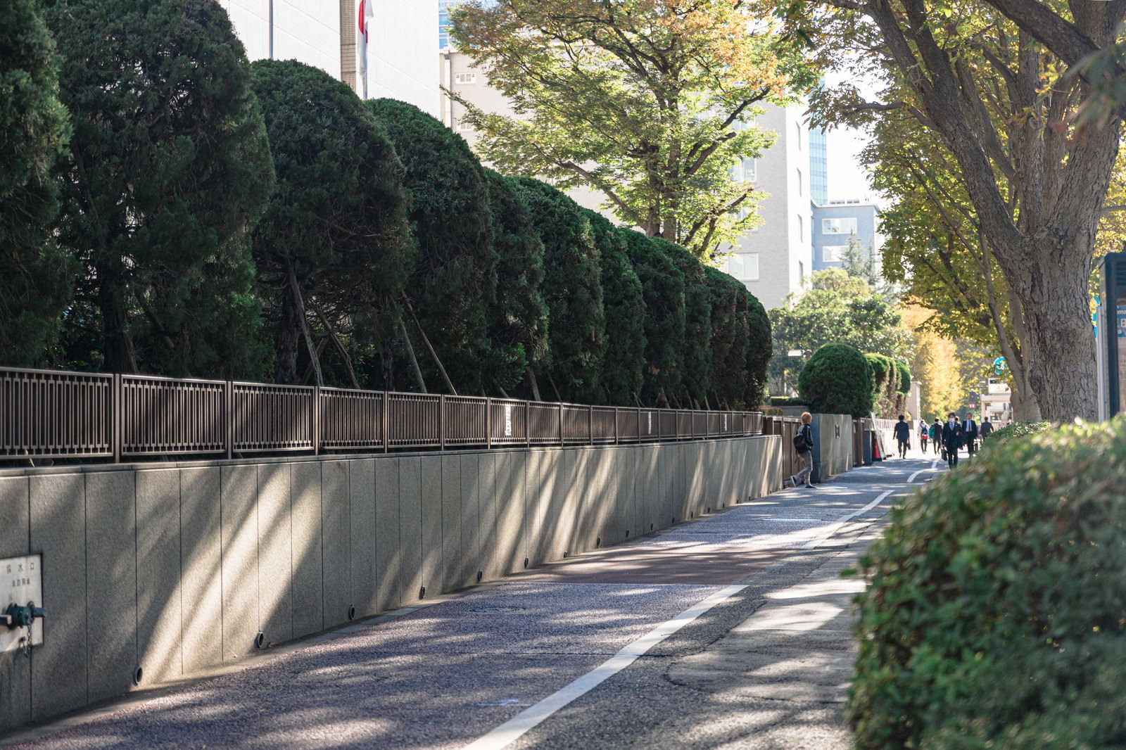 裁判所前の歩道とコンクリート塀の生垣