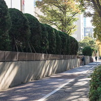 裁判所前の通りに沿った歩道とコンクリート塀の写真