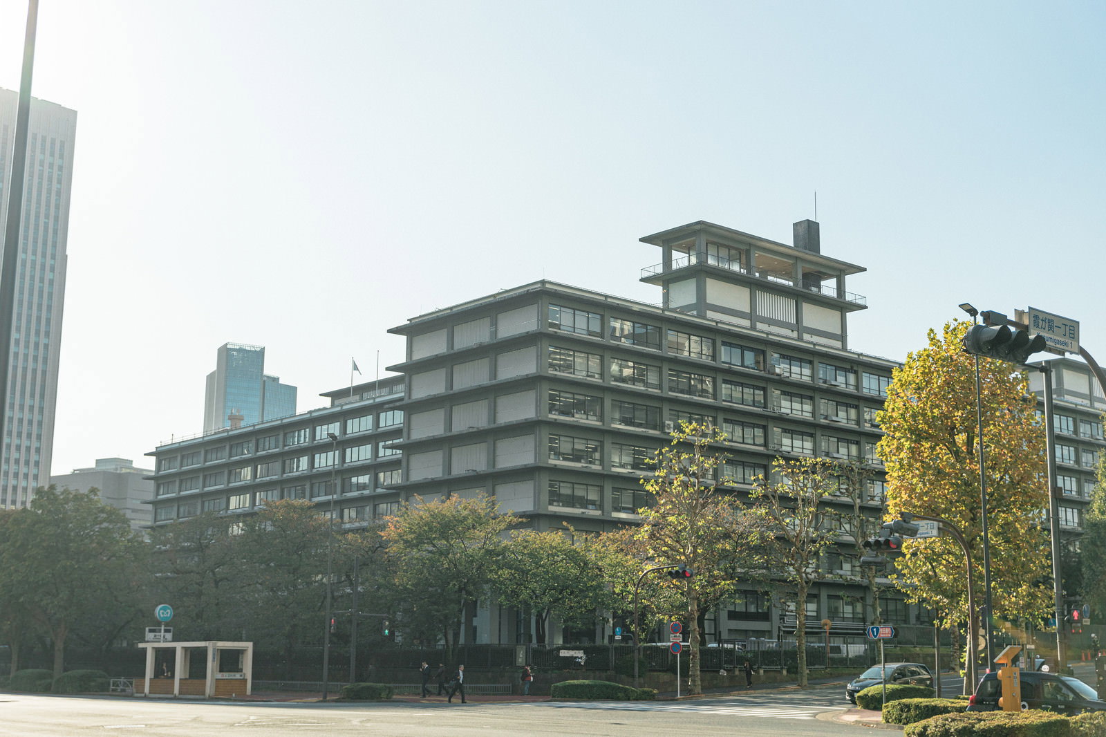 霞ヶ関の外務省庁舎と黄色く紅葉した街路樹