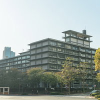 霞ヶ関の外務省と黄葉した街路樹の写真