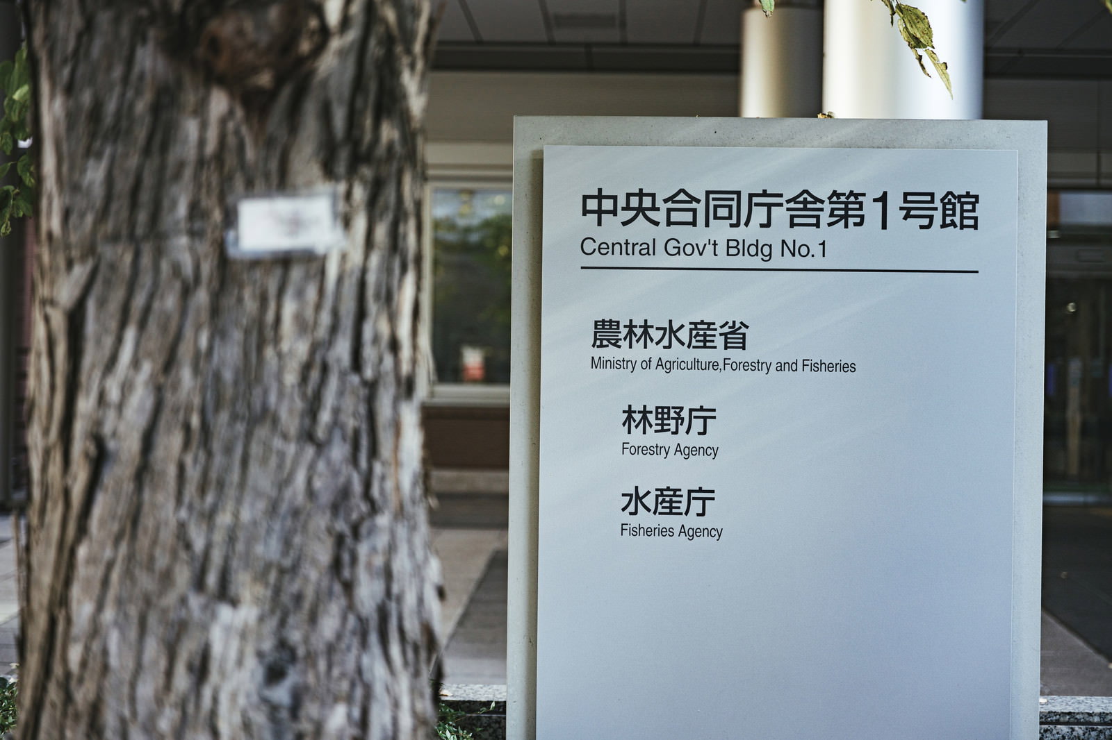 中央合同庁舎第1号館と記載された白い案内板