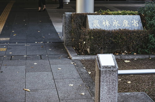 農林水産省の前に来ました。官公庁の石製銘板