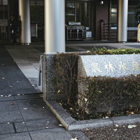 農林水産省の正門に設置された銘板のの写真