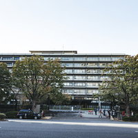 霞ヶ関の道路越しに見る外務省の建物と街路樹の写真