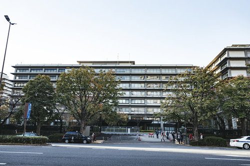 霞ヶ関の道路越しに見る外務省の建物と街路樹