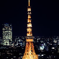 ライトアップされた東京タワーの夜景、都心の高層ビル群と共にの写真