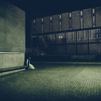 奥の薄暗い空間でこちらを伺う白い服の女性の写真