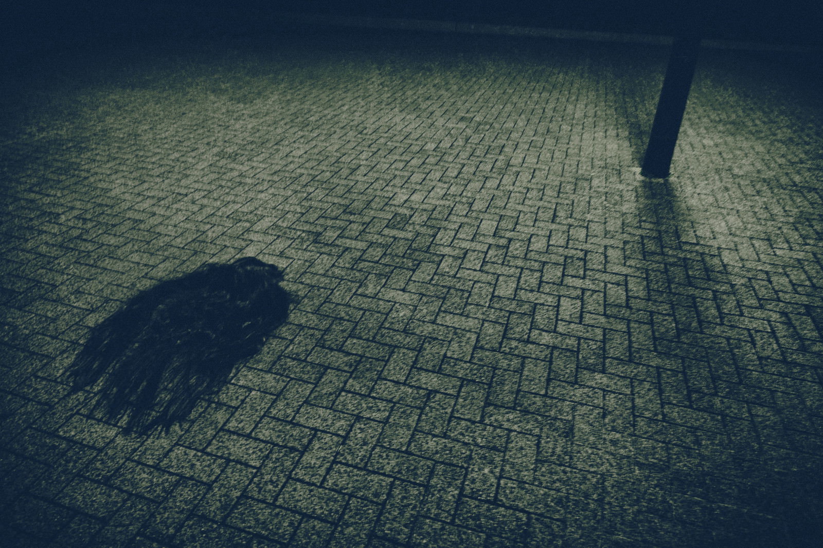 薄暗い石畳の路上に落ちた黒い髪の毛のような物体と影［モデル：緋真煉］