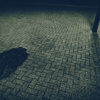 暗闇の路上に取り残された黒い髪の毛のような物体の写真